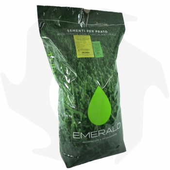 Country Emeraldgreen - 10 Kg Graines tannées pour un gazon vert foncé, dense et résistant graines