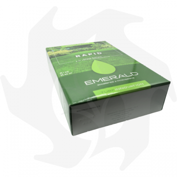 Rapid Emeraldgreen - 1 Kg Sementi per un prato rustico e di veloce insediamento Sementi per prato