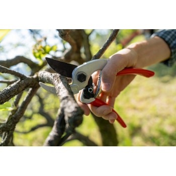 Falket 2030 Profi-Baumschere gebogene Klinge mit Schlagschnitt Forbici da potatura con manici in alluminio: a doppio taglio, ...