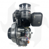 Motore diesel completo Zanetti ZDM 86 C1ME da 10hp adattabile a macchine agricole con albero conico da 23mm Motore Diesel