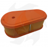 Filtro de aire para motores Briggs&Stratton DOV Series 775 - 850 - 875 - 950 Filtro de aire - diésel