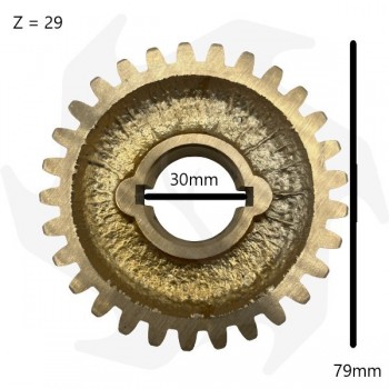 Engrenage pour motobineuse Marazzini ERMA600 HP6 - MEP Ursus 3.7 Pièces de machines de jardin