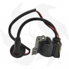 Electronic ignition coil for Green Line GL26 brushcutters and GT600D - GT700D hedge trimmers Ignition coil