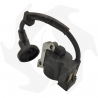 Electronic ignition coil for Stiga brushcutters - GGP - CastelGarden - Alpina G220-TR22CX Ignition coil