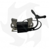 Bobina de encendido para motor TRE0702-414CC / TRE0701-432CC / Loncin452 Bobina de encendido