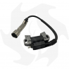 Bobina di accensione elettronica originale per motori Briggs&Stratton 170000-190000-252000- 7 / 11HP Bobina accensione