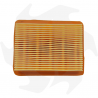 Air filter for Zenoah GZ 45N - 50N brush cutter Air - diesel filter