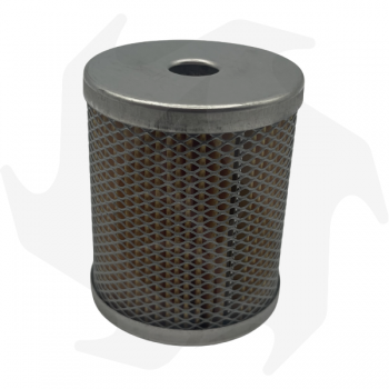 Filtro gasolio con coperchio per Lombardini LDA100 Ruggerini RF80 RF90 RF120 Ricambi motore Lombardini