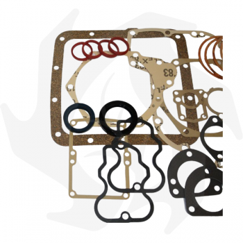 Juego completo de juntas y retenes para motores Lombardini 9LD625 2 focas