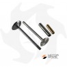 Kit valvole aspirazione e scarico + guida valvole per motori Lombardini LDA450-510 / 3LD510 Accessori Macchine da Giardino