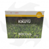 Kikuyu Bottos - 500g Semillas para zonas muy soleadas Mezclas de Macrotherms