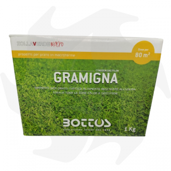 Gramigna Bottos - 1Kg Gramigna species seeds for areas with prolonged drought Lawn seeds