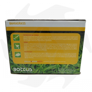 Bahiagrass Bottos - 500g Macrothermal seeds for warm and coastal areas Macroterme mixtures