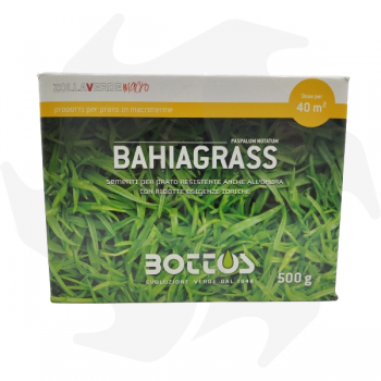 Bahiagrass Bottos - 500g Macrothermal seeds for warm and coastal areas Macroterme mixtures