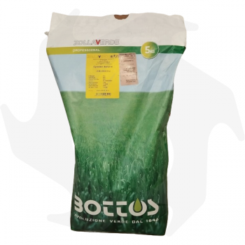 Bahiagrass Bottos - 5Kg Semillas macrotermales para zonas cálidas y costeras Mezclas de Macrotherms