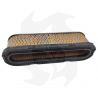 Filtro de aire para motor Tecumseh TVXL195 - 200 - OVXL120 Filtro de aire - diésel