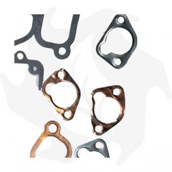 Jeu complet de joints + joints d'huile pour moteurs Lombardini 15LD350 Joints