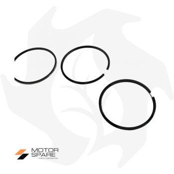 Segment set 4 bands for Lombardini 4LD640/4LD96/4LD97 engine Ø95.50mm Garden Machinery Spare Parts