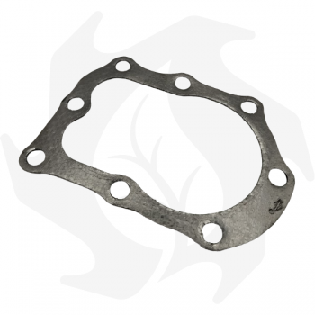 Briggs&Stratton head gasket for lawn mower models 3 / 3.5hp Seals