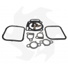 Briggs&Stratton head gasket series for lawn mower models V.12/16 Seals