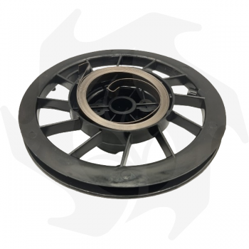 Starter pulley for Briggs & Stratton engine BRIGGS & STRATTON