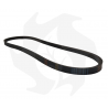 Drive belt Type 1 13 x 905 La Straps