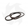 Drive belt Type 1 12.7 x 2200 Straps