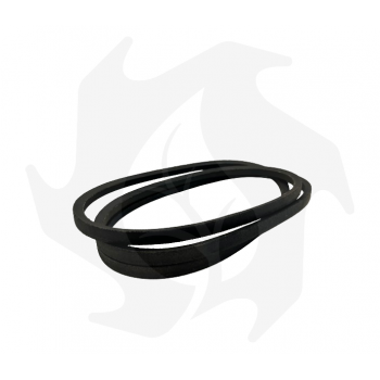 Drive belt Type 1 13 x 1956 Li Straps