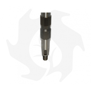 Tiller shaft for Bertolini 18-hp machines Garden Machinery Spare Parts