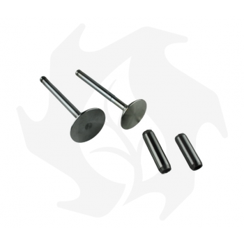 Intake + exhaust valve kit + valve guide for Lombardini 6LD360 - 6LD400 - 6LD435 engine Garden Machinery Spare Parts