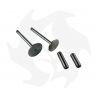 Intake + exhaust valve kit + valve guide for Lombardini 6LD360 - 6LD400 - 6LD435 engine Garden Machinery Spare Parts