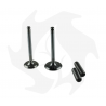 Intake + exhaust valve kit + valve guide for Lombardini 6LD360 - 6LD400 - 6LD435 engine Garden Machinery Spare Parts