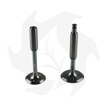 Intake + exhaust valve kit + valve guide for Lombardini 6LD360 - 6LD400 - 6LD435 engine Garden Machinery Spare Parts