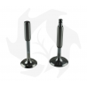 Intake + exhaust valve kit + valve guide for Lombardini 6LD360 - 6LD400 - 6LD435 engine Garden Machinery Spare Parts