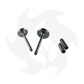 Intake + exhaust valve kit + valve guide for Lombardini 6LD360 - 6LD400 - 6LD435 engine Garden Machinery Spare Parts