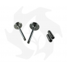 Intake + exhaust valve kit + valve guide for Lombardini 6LD360 - 6LD400 - 6LD435 engine Garden Machinery Spare Parts